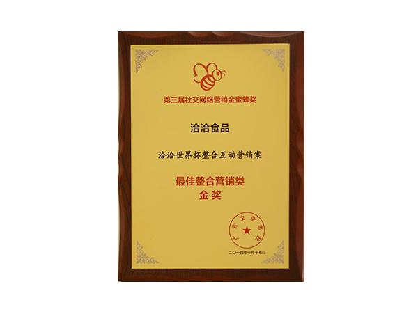 最佳整合營(yíng)銷(xiāo)類(lèi)金獎(jiǎng)